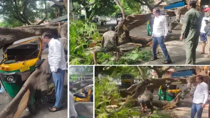 Bengaluru: Tree falls on moving auto, claims another driver’s life in Jayanagar
