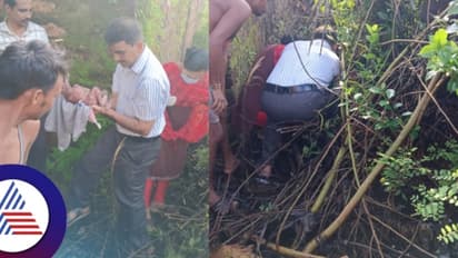 ಒಂದು ದಿನದ ನವಜಾತ ಹೆಣ್ಣು ಶಿಶುವನ್ನು ಪೊದೆಯಲ್ಲಿ ಬಿಸಾಕಿ ಹೋದ ಪಾಪಿಗಳು!