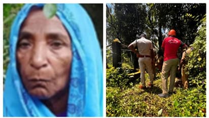 'കുഞ്ഞാമിയുടെ ആഭരണങ്ങൾ കാണാനില്ല, തലയ്ക്ക് പിന്നിൽ പരിക്കും'; വയനാട്ടിൽ 75 കാരിയുടെ മരണത്തിൽ അന്വേഷണം