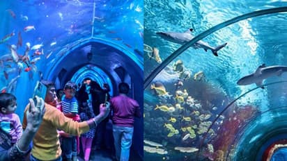 തലയ്ക്ക് മുകളിൽ സ്രാവടക്കം കടൽ മീനുകൾ, കാഴ്ചകൾ കാണാം ഫോട്ടോയെടുക്കാം; തലസ്ഥാനത്ത് അണ്ടർ വാട്ടർ ടണൽ അക്വേറിയം