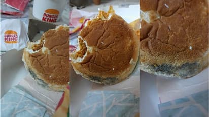 'A new flavour?': Man shares photo of mold in bun ordered from Burger King, internet reacts; see viral photo