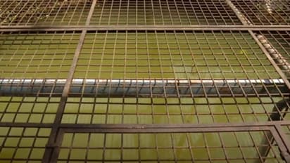 ജലസ്രോതസ് ശുചീകരിക്കുന്നതിൽ വീഴ്ച; കോഴിക്കോട്ടെ മഞ്ഞപ്പിത്ത ബാധയിൽ ജനകീയ സമിതിയെ പഴിചാരി കോർപറേഷൻ