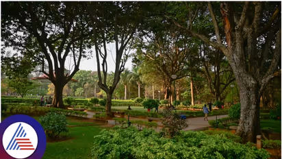 Bengaluru: Man arrested for allegedly showing private parts to woman walking in Cubbon Park
