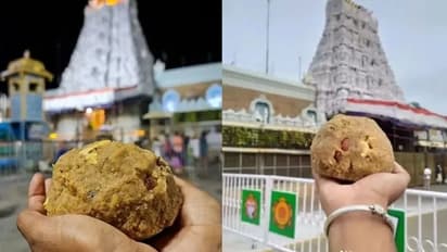 Tirupati Laddu: "இந்துக்கள் என்றால் இளிச்சவாயர்களா"! அதுவும் திருப்பதி லட்டுல இப்படியா? இயக்குநர் மோகன்ஜி!