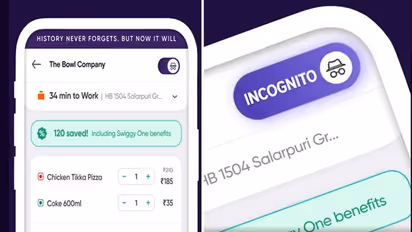 Swiggy's new feature lets you order food in 'Incognito mode' | WATCH