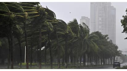 'മേൽക്കൂരകൾ പറത്തി, മലയിടിച്ചു', വിയറ്റ്നാമിനെ അടിച്ച് തകർത്ത് 'യാഗി', 59 പേർക്ക് ദാരുണാന്ത്യം 