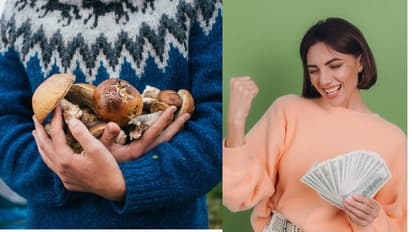 Mushroom farming at home: Start this business today and earn Rs 1 lakh per month
