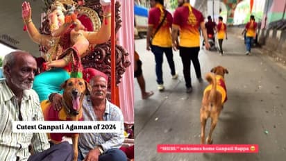 എത്ര മനോഹരമായ കാഴ്ച, വിനായക ചതുർഥി ആഘോഷങ്ങളിൽ സജീവമായി നായ