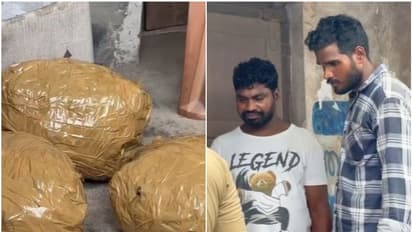 എല്ലാം വളരെ രഹസ്യം, ഒറീസയിൽ നിന്നും വന്ന ടൂറിസ്റ്റ് ബസ്; പൊക്കിയത് പെരുമ്പാവൂരിൽ, പിടിച്ചത് 10 കിലോ കഞ്ചാവ്