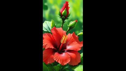 మీకు ఏ కలర్ అంటే ఇష్టం? ఆ రంగు మీ సీక్రెట్స్ అన్నీ బయట పెట్టేస్తుంది తెలుసా?