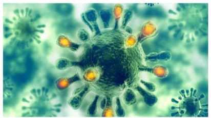 What is Kyasanur Forest Disease (KFD) that claimed the life of a 8-year-old boy in Karnataka?