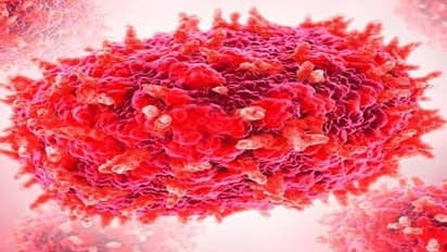 എംപോക്സ് ഭീതി, കനത്ത ജാഗ്രത തുടരാൻ നിര്‍ദേശം; സാഹചര്യം വിലയിരുത്താൻ സംസ്ഥാനങ്ങളുടെ യോഗം വിളിക്കും