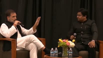 'Habit of insulting India': Congress' Rahul Gandhi slammed for China has no unemployment issue remark (WATCH)