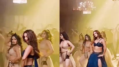 'എന്തൊരു അശ്ലീലമാണിത്': 'നാഷണല്‍ ക്രഷ്' തൃപ്തിയുടെ പുതിയ ചിത്രത്തിലെ ഡാന്‍സ് സ്റ്റെപ്പ് വന്‍ വിവാദത്തില്‍ !