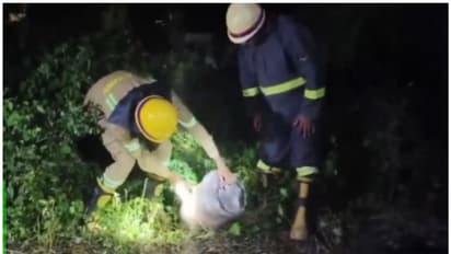 ട്രാക്കിൽ ഗ്യാസ് സിലിണ്ടറും പെട്രോൾ നിറച്ച കുപ്പിയും; ട്രെയിൻ തട്ടിയെങ്കിലും വൻദുരന്തം ഒഴിവായത് തലനാരിഴയ്ക്ക്