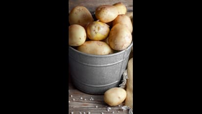 ரொம்ப நாள் சமைக்காமல்  வைத்திருந்த உருளைக்கிழங்கை சமைச்சு சாப்பிடலாமா? அது நல்லதா? 