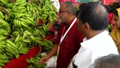 തുടങ്ങി 2000 ഓണച്ചന്തകൾ; വമ്പൻ വിലക്കുറവ് പ്രഖ്യാപിച്ച് മന്ത്രി, 'വിഷമില്ലാ പഴങ്ങളും പച്ചക്കറികളും 30% കിഴിവിൽ