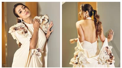 Malaika Arora net worth: Check out actress' assets, income, cars and more