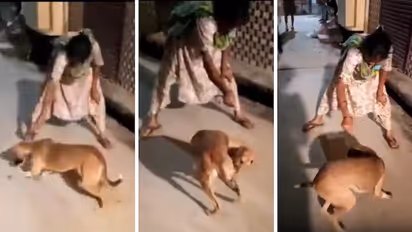 SHOCKING! UP woman ties rat with thread, feeds it to stray dog, viral video sparks outrage (WATCH)