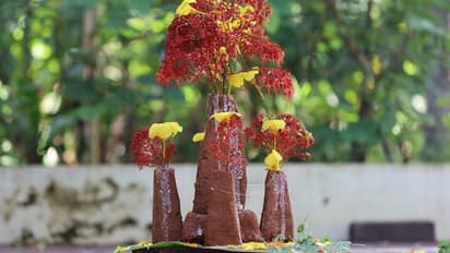 Onam 2024: Who is Thrikakkara Appan? Know the significance, legend, rituals and more