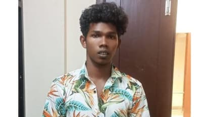 സോഷ്യൽ മീഡിയ വഴി പരിചയപ്പെട്ട 15കാരിയെ പീഡിപ്പിച്ചു; യുവാവിന് 35 വർഷം തടവ്, സമാനമായ വേറെയും കേസുകളെന്ന് പൊലീസ്