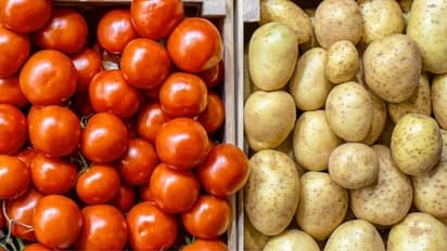 Garlic Price : வண்டி, வண்டியாக வரப்போகுது பூண்டு.! எப்போது விலை குறையும் தெரியுமா.?