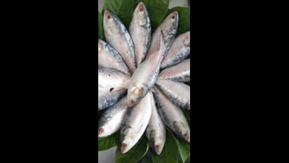 How to remove fish smell from your kitchen? 