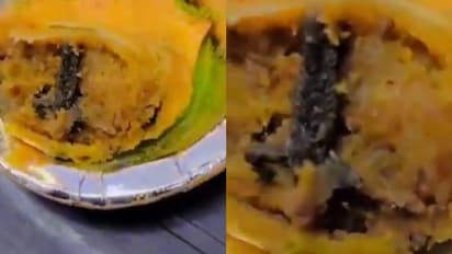 ബേക്കറിയിൽ നിന്നും സമൂസ വാങ്ങി, ഉള്ളിൽ ചത്ത തവളയുടെ കാൽ; കടയുടമയ്ക്കെതിരെ കേസെടുത്ത് പൊലീസ്