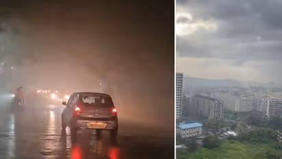 Maharashtra: Gas leak at Ambernath chemical factory creates panic, city blanketed in fog (WATCH)
