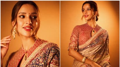 Triptii Dimri Photos: 'Vicky Vidya Ka Woh Wala Video' actress' saree look is the fashion inspo you need!