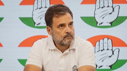 Trouble for Rahul Gandhi? PIL in Allahabad High Court seeks CBI probe into his alleged British citizenship