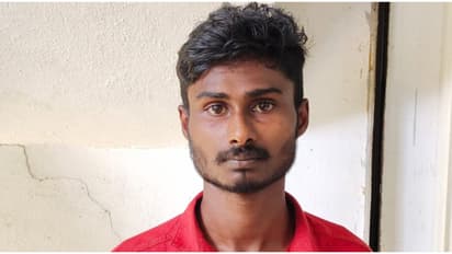 65 വർഷം കഠിന തടവ്, രണ്ടര ലക്ഷം പിഴ; പത്തനംതിട്ട കോടതി പ്രതിക്ക് ശിക്ഷ വിധിച്ചത് 17 കാരിയോട് കാട്ടിയ ക്രൂരതക്ക്