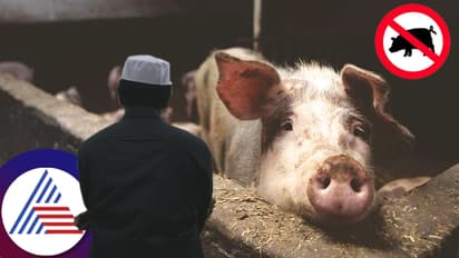 ಮುಸ್ಲಿಂ ಸಮುದಾಯ ಹಂದಿ ಮಾಂಸ ಮುಟ್ಟದ ಹಿಂದಿದೆ ಕಥೆ!