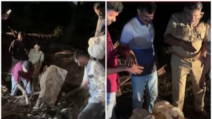 മാവിൻ തോപ്പിലെ മണ്ണ് നീക്കിയപ്പോൾ 150 കന്നാസുകൾ; സംസ്ഥാന അതിർത്തിക്ക് സമീപം 4950 ലിറ്റർ സ്പിരിറ്റ് പിടികൂടി