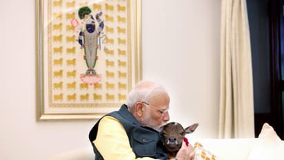 ಪ್ರಧಾನಿ ನಿವಾಸಕ್ಕೆ ಬಂದ ಅತಿಥಿಗೆ ಮುದ್ದಾದ ಹೆಸರಿಟ್ಟ ನರೇಂದ್ರ ಮೋದಿ!