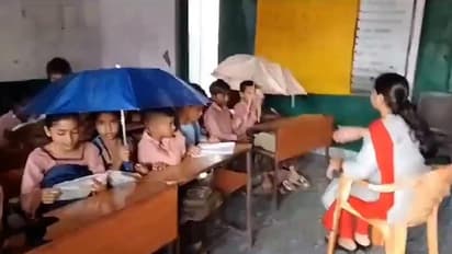 UP: Students forced to study under umbrellas due to leaking roof in Baghpat school, concerns raised (WATCH)