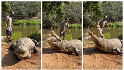 124 വയസുള്ള മുതലയുമായി 'ഗുസ്തി' പിടിക്കുന്നയാളുടെ വീഡിയോ കണ്ട് അമ്പരന്ന് സോഷ്യൽ മീഡിയ 