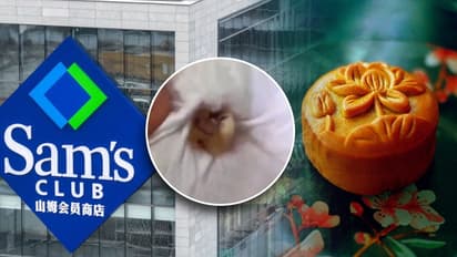 'Disgusting': Woman finds human tooth in mooncake purchased at Sam's Club in China, probe underway (WATCH)