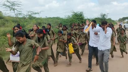 Karnataka: Bee attack disrupts students returning from International Day of Democracy event in Gadag