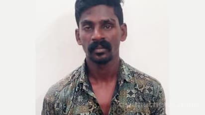 കൊല്ലത്ത് 73 കാരിയെ ക്രൂരമായി പീഡിപ്പിച്ചു; യുവാവ് അറസ്റ്റിൽ