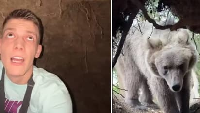 ഗുഹയ്‍ക്കകത്ത് യുവാവ്, വഴിയടച്ച് കരടി, പിന്നീടെന്തുണ്ടായി, നെറ്റിസൺസിനെ ഞെട്ടിച്ച വീഡിയോ