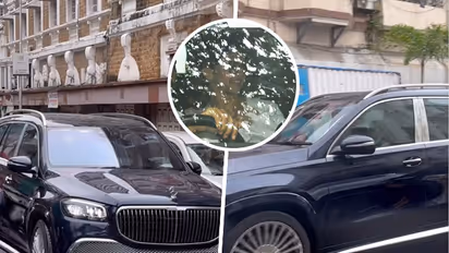 WATCH: Deepika Padukone discharged from hospital, holds daughter close as she lives to home with Ranveer Singh