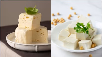 How to Identify Fake Paneer: A complete guide to ensure authenticity and quality