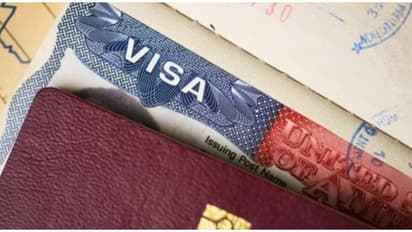 5 साल में मनोज ने कमाए 100 करोड़! 8 लाख मिलने पर 20 मिनट तैयार करता था वीजा