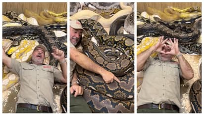 'സ്നേക്ക് പാര്‍ട്ടി'; പടുകൂറ്റന്‍ പെരുമ്പാമ്പുകള്‍ക്ക് നടുവിലൊരു പിറന്നാള്‍ ആഘോഷം, വീഡിയോ വൈറല്‍ 