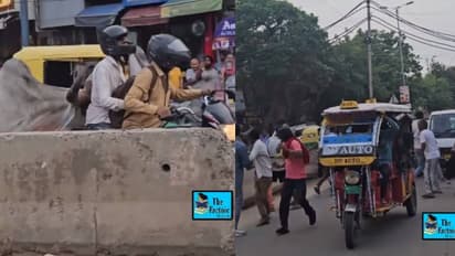 ഞെട്ടിക്കുന്ന ദൃശ്യങ്ങൾ, റോഡിലൂടെ ബൈക്കിലെ തള്ളിക്കൊണ്ടുപോകുന്ന കാള, ആകെ കോലാഹാലം