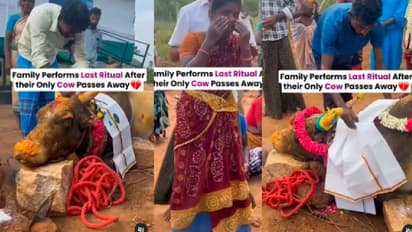 ಅಗಲಿದ ಪ್ರೀತಿಯ ಹಸುವಿಗೆ ಮನುಷ್ಯರಂತೆ ಅಂತಸಂಸ್ಕಾರ ನಡೆಸಿದ ಕುಟುಂಬ: ವೀಡಿಯೋ ವೈರಲ್