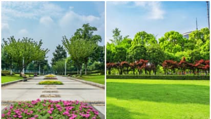 Sundar Nursery to Lodhi Gardens: 5 Best parks in Delhi for a perfect day out