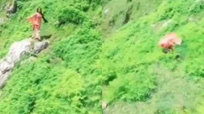 റീൽസ് ഷൂട്ടിനിടെ മലമുകളിൽ നിന്ന് കാൽ വഴുതി, കൊക്കയിലേക്ക് ഉരുണ്ട് വീണ് യുവതി- വീഡിയോ