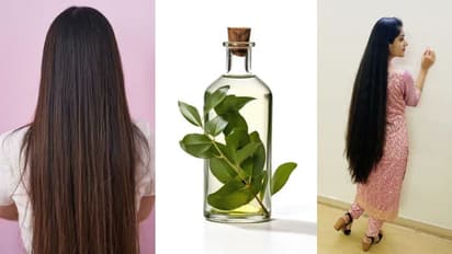 Hair Growth: बढ़ जाएगी रुके हुए बालों की ग्रोथ , अपनाएं 10 सिंपल टिप्स